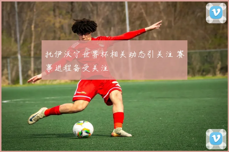 托伊沃宁世界杯相关动态引关注 赛事进程备受关注