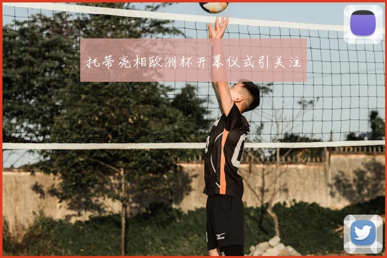 托蒂亮相欧洲杯开幕仪式引关注