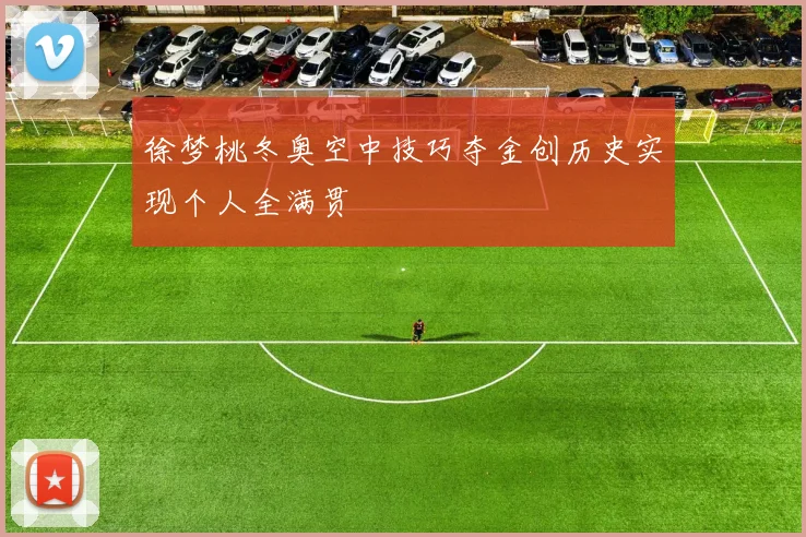 徐梦桃冬奥空中技巧夺金创历史实现个人全满贯
