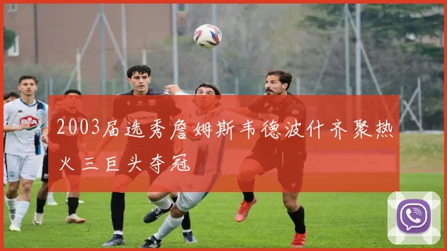 2003届选秀詹姆斯韦德波什齐聚热火三巨头夺冠