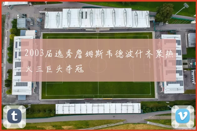 2003届选秀詹姆斯韦德波什齐聚热火三巨头夺冠