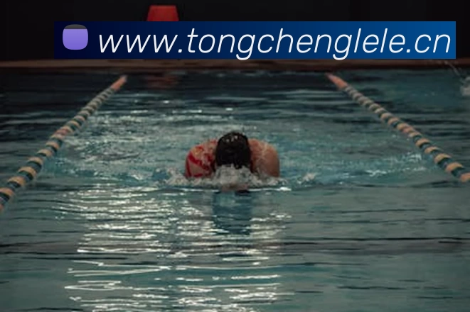 App Interface Preview